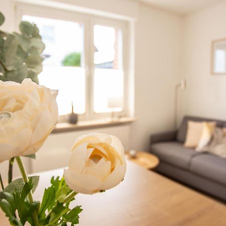 Apartament Boardinghouse44 Georgsmarienhütte Zewnętrze zdjęcie