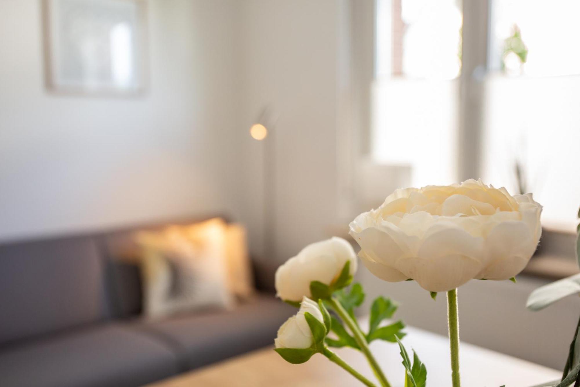 Apartament Boardinghouse44 Georgsmarienhütte Zewnętrze zdjęcie