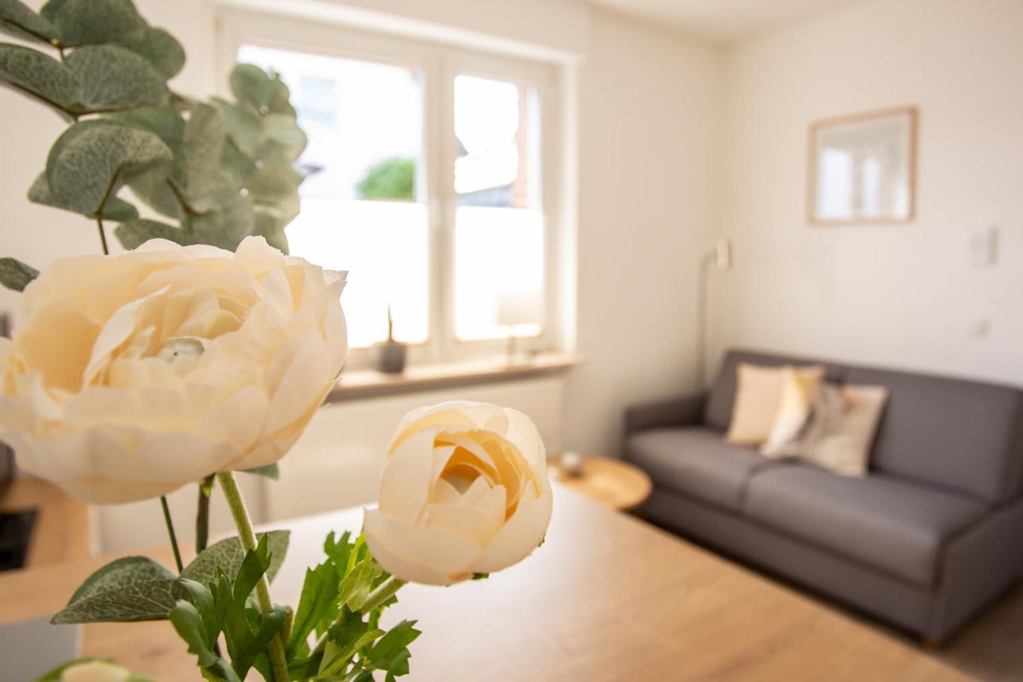 Apartament Boardinghouse44 Georgsmarienhütte Zewnętrze zdjęcie